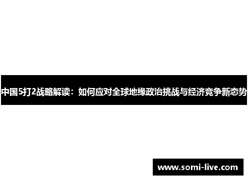 中国5打2战略解读：如何应对全球地缘政治挑战与经济竞争新态势