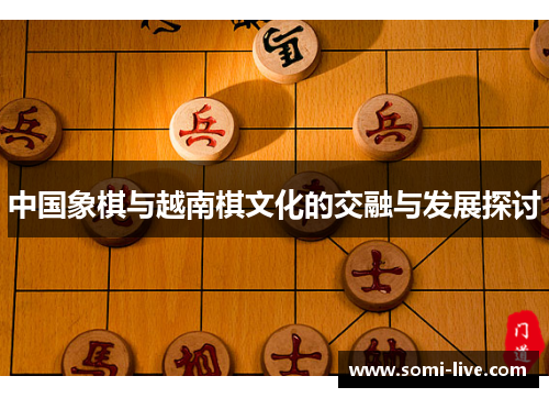 中国象棋与越南棋文化的交融与发展探讨